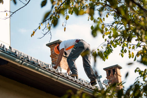 Best Roof Moss and Algae Removal  in USA